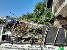 Best Foreclosure Cleanout  in Toquerville, UT